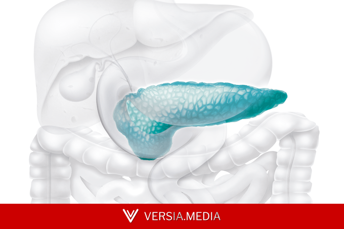 Conheça a primeira caneta que reduz gordura no sangue e previne casos de pancreatite