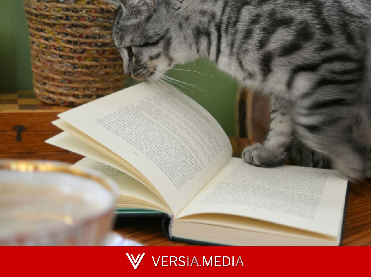 Prescrições do editor: 3 livros para refletir sobre a nossa relação com os animais