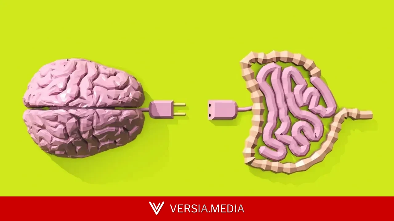 O telefone sem fio entre intestino e cérebro que atrapalha o emagrecimento