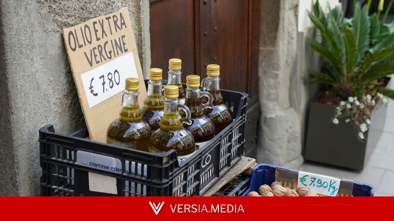 Azeite de oliva: como saber se é bom ou adulterado?