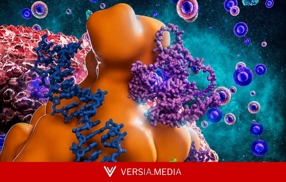 Chaperonas: as ‘guardiãs’ invisíveis do corpo que evitam doenças e têm ligação com câncer